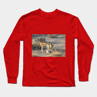 Namibia. Etosha National Park. Scavenging Jackal. Long Sleeve T-Shirt